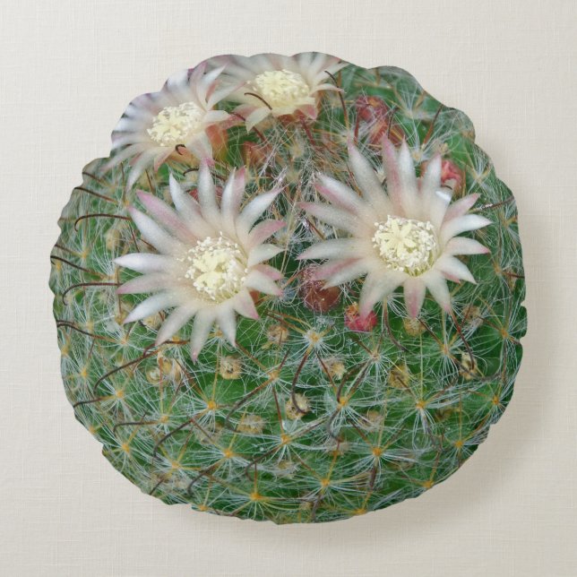 Cojín Redondo Cactus Verde Natural Florecido Espinoso (Anverso)