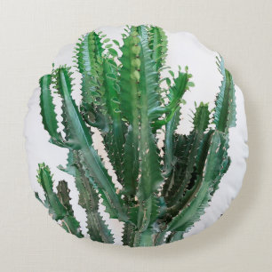 Cojín Redondo Cactus verdes sobre fondo blanco.