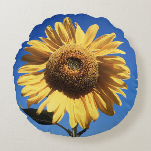 Cojín Redondo California, Un Girasol Gigante (Helianthus) 3