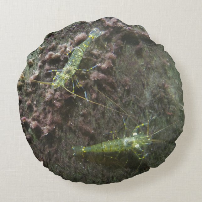 Cojín Redondo Camarones Almohadilla redonda (Reverso)