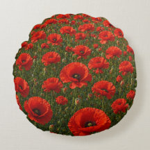 Campo de amapolas