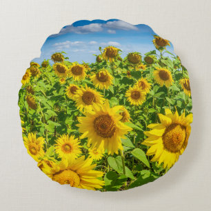 Cojín Redondo Campo de girasoles, día soleado de verano.