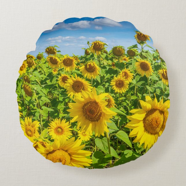 Cojín Redondo Campo de girasoles, día soleado de verano. (Anverso)