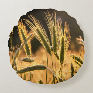 Cojín Redondo Campo de trigo fresco de granja