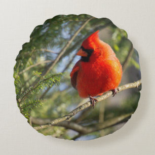 Cojín Redondo Cardenal en Pines