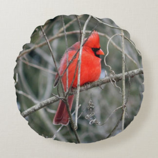Cojín Redondo Cardenal Rojo Real - Pillow