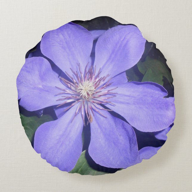 Cojín Redondo Césarine (Reverso)