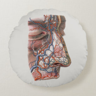 Cojín Redondo Ciencia Clásica Anatomía Humana, Cara con Nariz