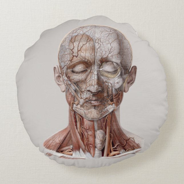 Cojín Redondo Ciencia de anatomía humana antigua, cabeza gargant (Reverso)