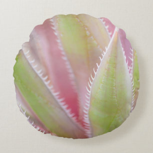 Cojín Redondo Cierre de la planta de Yucca