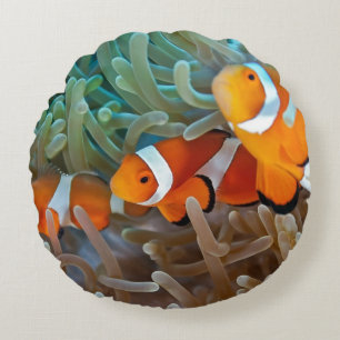 Cojín Redondo Clownfish