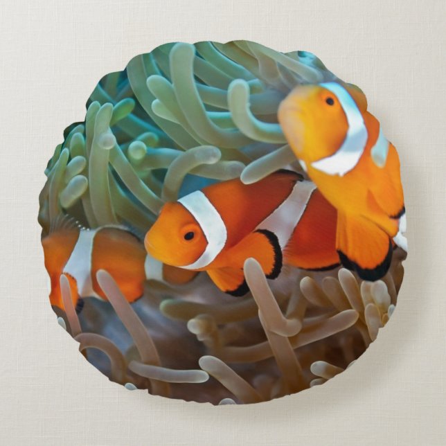 Cojín Redondo Clownfish (Anverso)