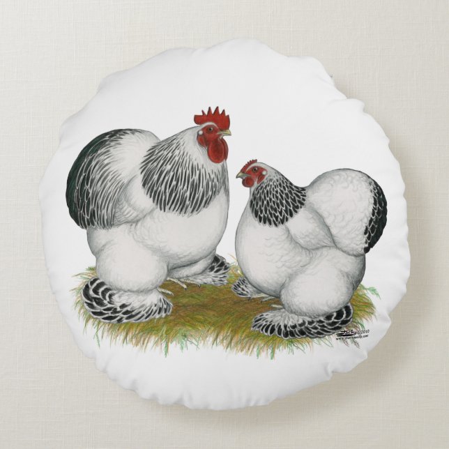 Cojín Redondo Cochin Columbian Bantams (Reverso)
