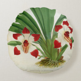 Cojín Redondo Colección Pescatorea Klabochurum Orchid Lindenia