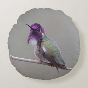 Cojín Redondo colibrí de Costa