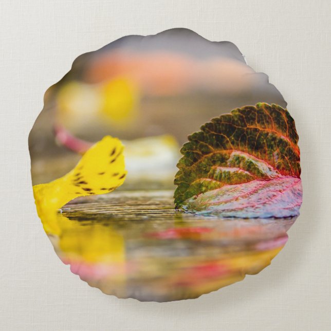 Cojín Redondo Colores de caída (Reverso)