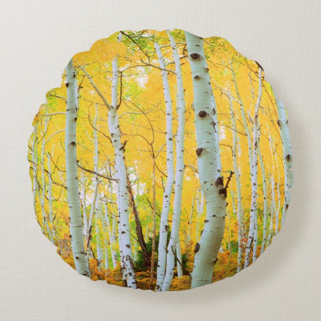 Cojín Redondo Colores de otoño de árboles de Aspen 1 (Anverso)