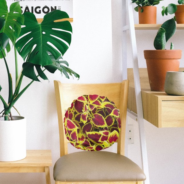 Cojín Redondo Colorida planta de Coleus deja flores (In Situ Chair)