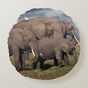 Cojín Redondo Cría de elefante africano con familia