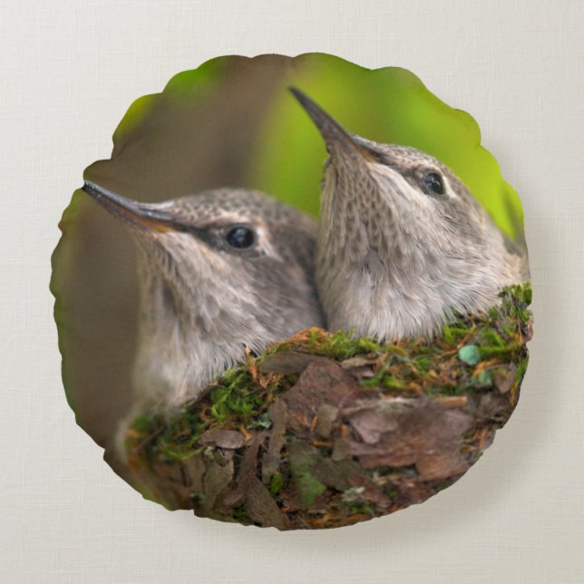 Cojín Redondo Crías de colibríes (Anverso)