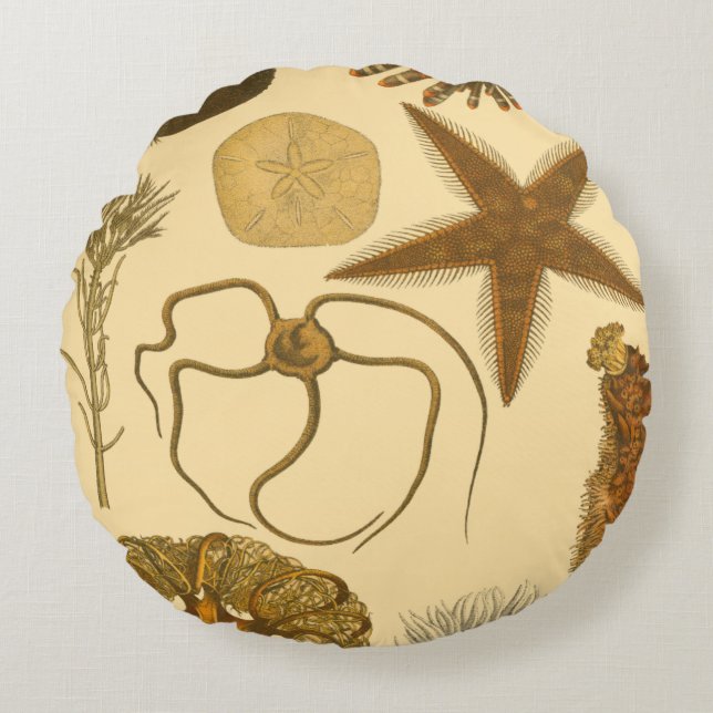 Cojín Redondo Criaturas submarinas (Anverso)