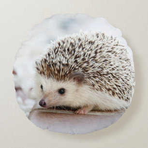 Cojín Redondo Cute Baby Hedgehog