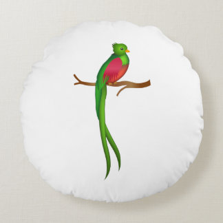 Cojín Redondo Cute bird Quetzal