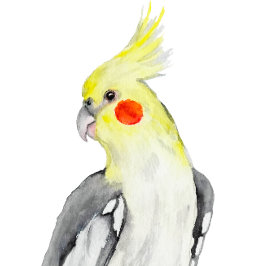 Cojín Redondo Cute Cockatiel Watercolor Parrot.