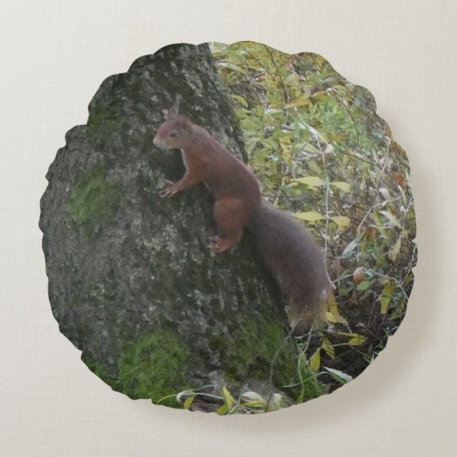 Cojín Redondo Cute Squirrel on Tree Trunk Round Pillow (Anverso)