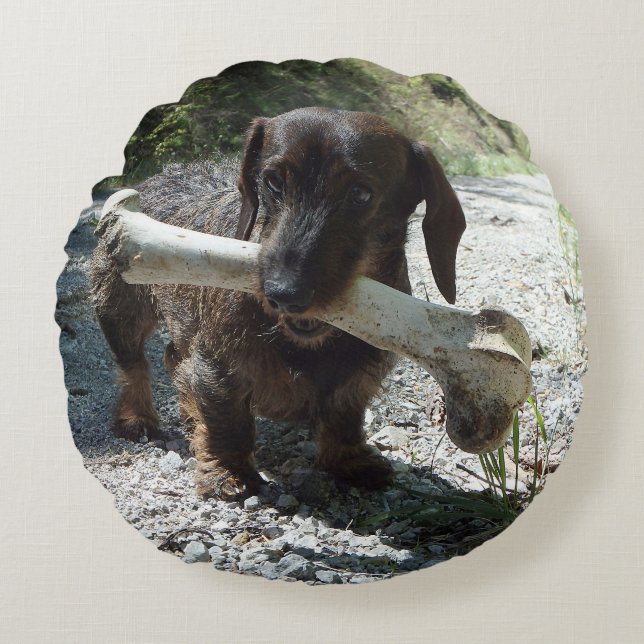 Cojín Redondo Dachshund (Anverso)
