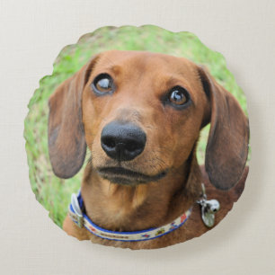 Cojín Redondo dachshund