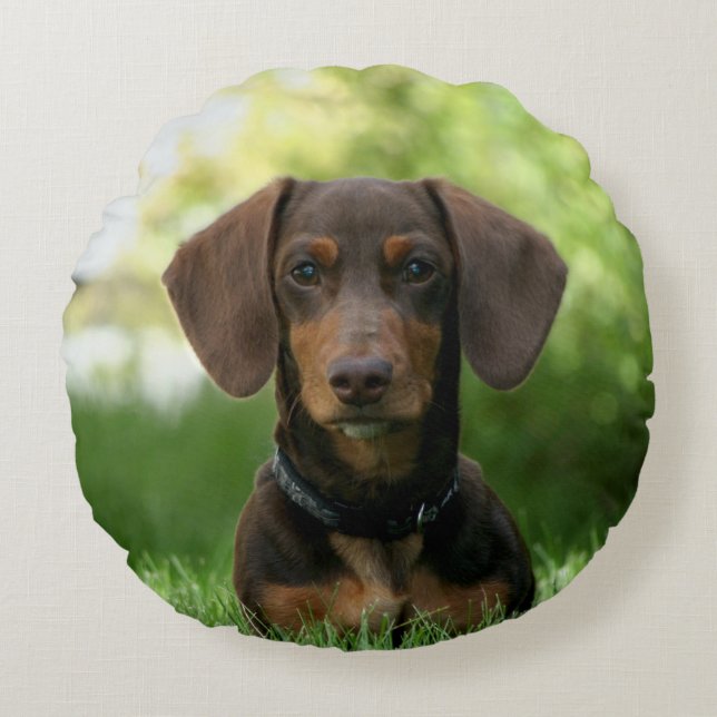 Cojín Redondo Dachshund Puppy (Anverso)