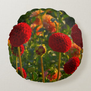 Cojín Redondo Dahlias, granja dahlia, Canby, Oregón, EE.UU. 3