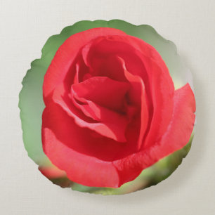 Cojín Redondo Dainty Red Rose