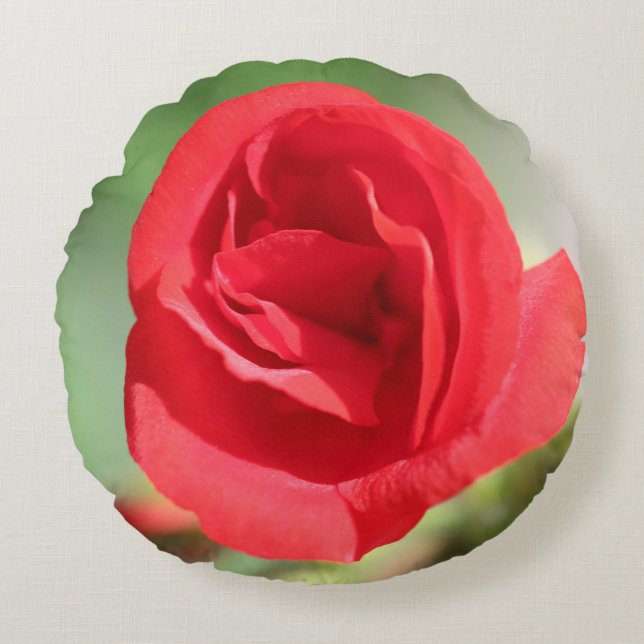 Cojín Redondo Dainty Red Rose (Anverso)