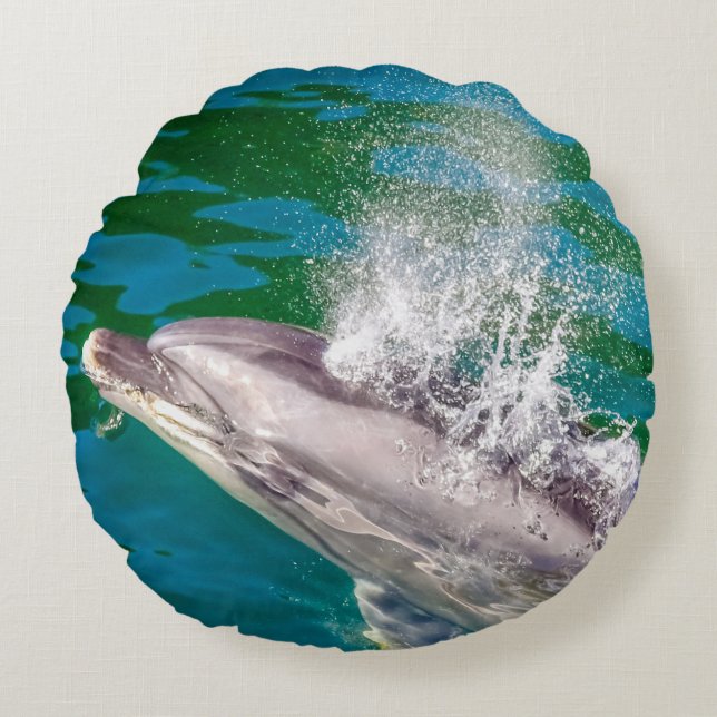 Cojín Redondo Delfín En Milford Sound, Nueva Zelanda (Anverso)