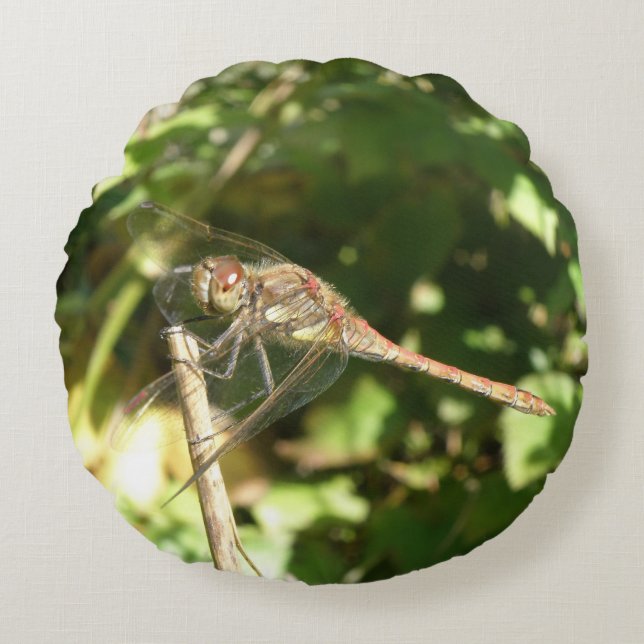 Cojín Redondo Dragonfly on the Twig Pillow (Anverso)