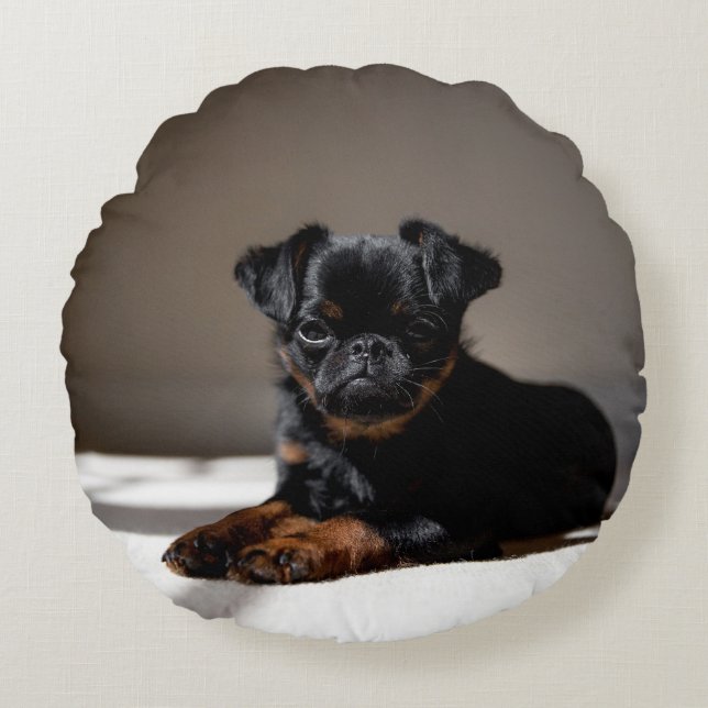 Cojín Redondo Dulce cachorro en la almohada. (Anverso)