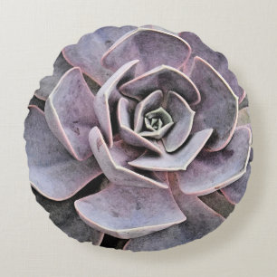Cojín Redondo Echeveria "rosa" exitosa