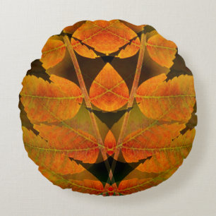 Cojín Redondo EE.UU., Colorado, Lafayette. Montaje sumario de ot