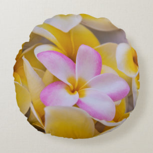 Cojín Redondo EE. UU., Hawái, Oahu, Flores de plumeria en flor 1
