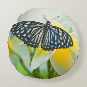 Cojín Redondo EE. UU., Pensilvania. Mariposa cola de golondrina
