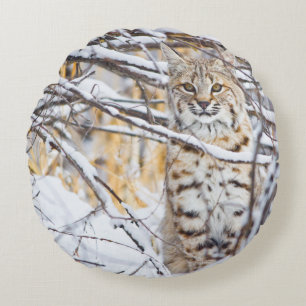 Cojín Redondo EE. UU., Wyoming, Bobcat