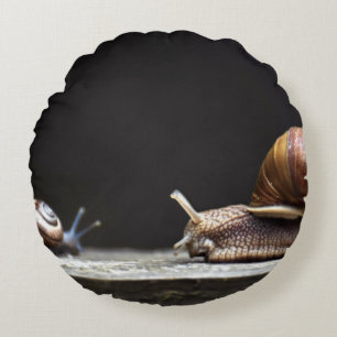 Cojín Redondo Escargots - Mollusk de caracol