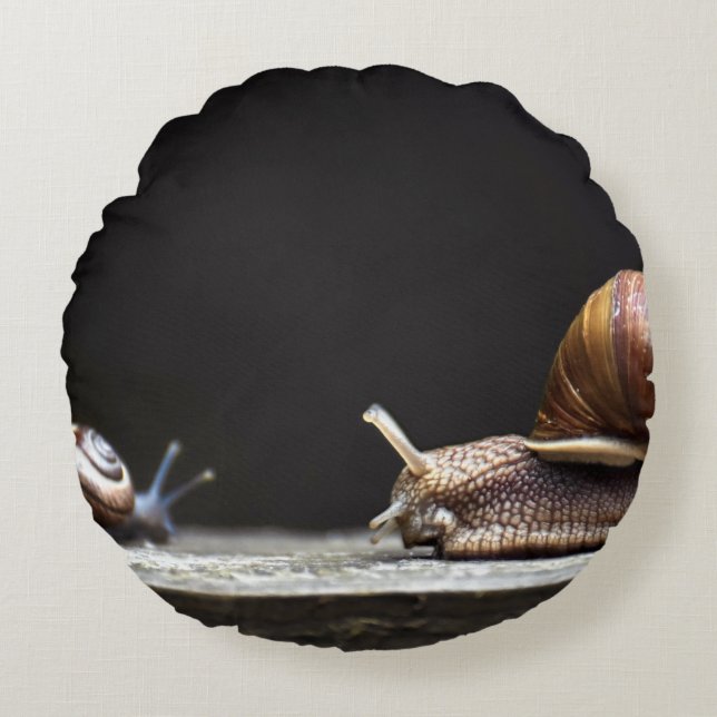 Cojín Redondo Escargots - Mollusk de caracol (Anverso)