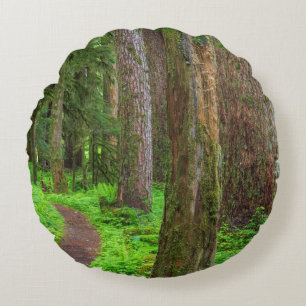 Cojín Redondo Escenario de bosque antiguo