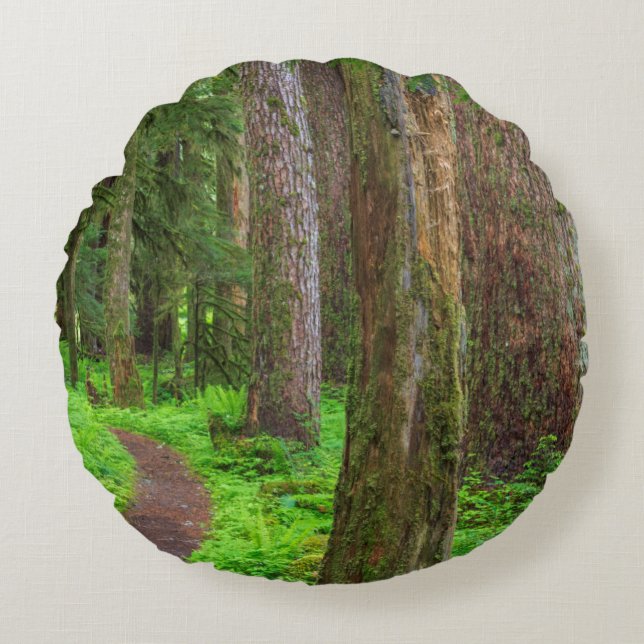 Cojín Redondo Escenario de bosque antiguo (Anverso)
