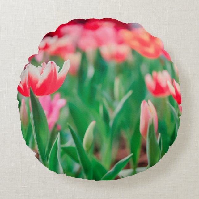 Cojín Redondo Esfera selecta, naturaleza asombrosa de la hermosa (Anverso)