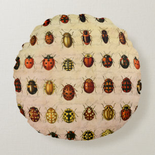 Cojín Redondo Espécimen Patrón de Mariquita Vintage Insecto Anti