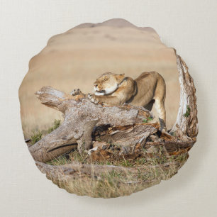 Cojín Redondo Estiramiento de la leona